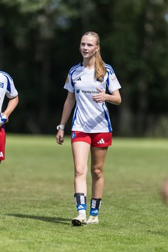 Bild 244 - wBJ Hamburger SV - VfL Wolfsburg : Ergebnis: 5:1